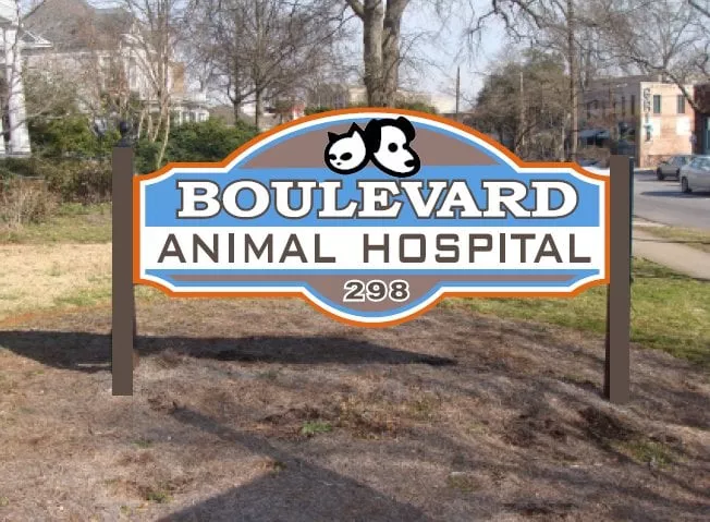 Boulevard Animal Hospital, Georgia, Athens